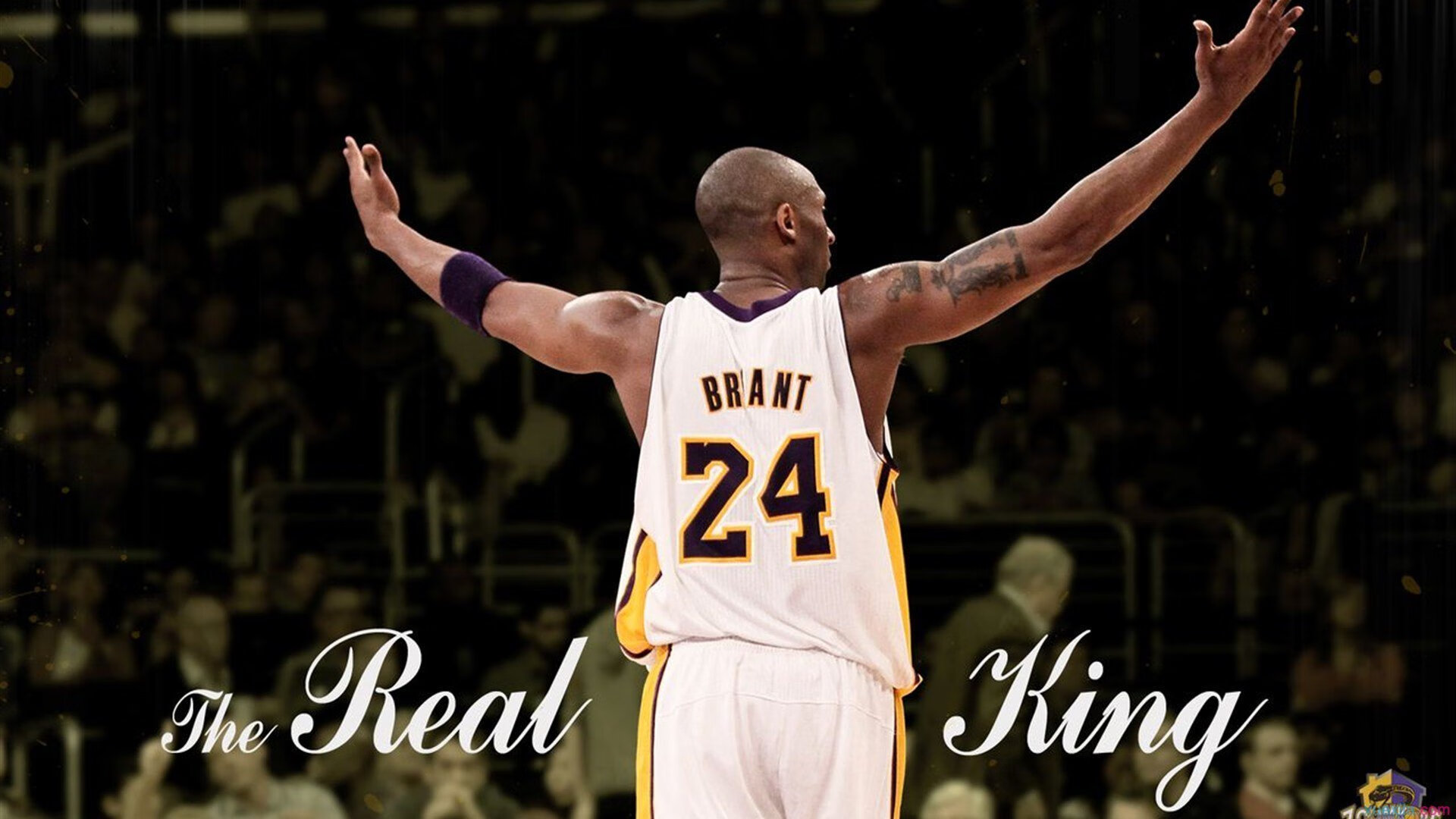 中国篮球职业联赛年轻球员培养体系创新研究，中国年轻篮球明星